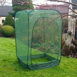 Pop Up Raspberry Fruit Cage & Plant Cover 10 Pop Up Raspberry Fruit Cage & Plant Cover -PlantHub Shop GPN100 08PIC3