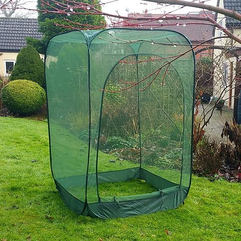 Pop Up Raspberry Fruit Cage & Plant Cover 5 Pop Up Raspberry Fruit Cage & Plant Cover - Image 3