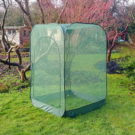 Pop Up Raspberry Fruit Cage & Plant Cover 7 Pop Up Raspberry Fruit Cage & Plant Cover - Image 5