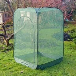 Pop Up Raspberry Fruit Cage & Plant Cover 13 Pop Up Raspberry Fruit Cage & Plant Cover -PlantHub Shop GPN100 08PIC6
