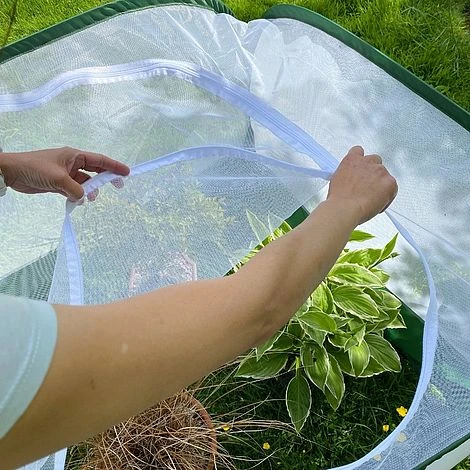 Pop Up Insect Net Fruit Cage & Vegetable Protection Cover 6 Pop Up Insect Net Fruit Cage & Vegetable Protection Cover - Image 4