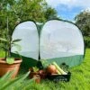 Pop Up Insect Net Fruit Cage & Vegetable Protection Cover 2 Pop Up Insect Net Fruit Cage & Vegetable Protection Cover -PlantHub Shop GPN100 092020125 09201000X100020836KB