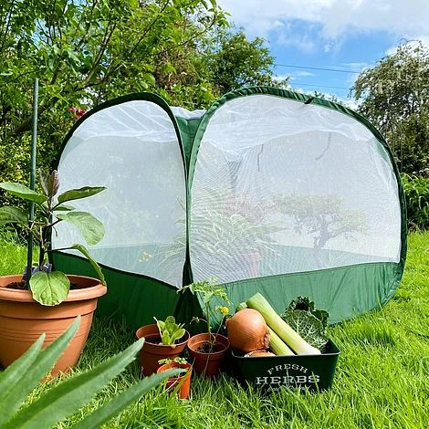 Pop Up Insect Net Fruit Cage & Vegetable Protection Cover 3 Pop Up Insect Net Fruit Cage & Vegetable Protection Cover