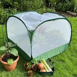 Pop Up Insect Net Fruit Cage & Vegetable Protection Cover 10 Pop Up Insect Net Fruit Cage & Vegetable Protection Cover -PlantHub Shop GPN100 092020125 09201000X100020847KB