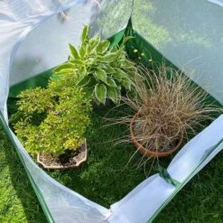 Pop Up Insect Net Fruit Cage & Vegetable Protection Cover 12 Pop Up Insect Net Fruit Cage & Vegetable Protection Cover -PlantHub Shop GPN100 092020125 09201000X100020907KB