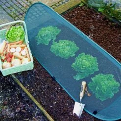 Pop Up Mini Grow Tunnel & Vegetable Bed Cover -PlantHub Shop GPN100 30PIC1