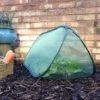 Pop Up Mini Grow Tunnel & Vegetable Bed Cover