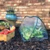 Pop Up Mini Greenhouse & Polytunnel Cloche -PlantHub Shop GPN100 32PIC1