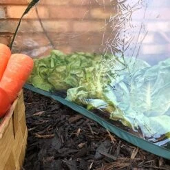 Pop Up Mini Greenhouse & Polytunnel Cloche 8 Pop Up Mini Greenhouse & Polytunnel Cloche -PlantHub Shop GPN100 32PIC2