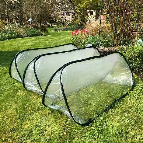 Pop Up Mini Greenhouse & Polytunnel Cloche 5 Pop Up Mini Greenhouse & Polytunnel Cloche - Image 3