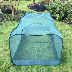 Giant Pop Up Fruit Cage & Plant Protection Cover 10 Giant Pop Up Fruit Cage & Plant Protection Cover -PlantHub Shop GPN100 50PIC1