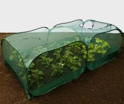 Giant Pop Up Fruit Cage & Plant Protection Cover 13 Giant Pop Up Fruit Cage & Plant Protection Cover -PlantHub Shop GPN100 50PIC6