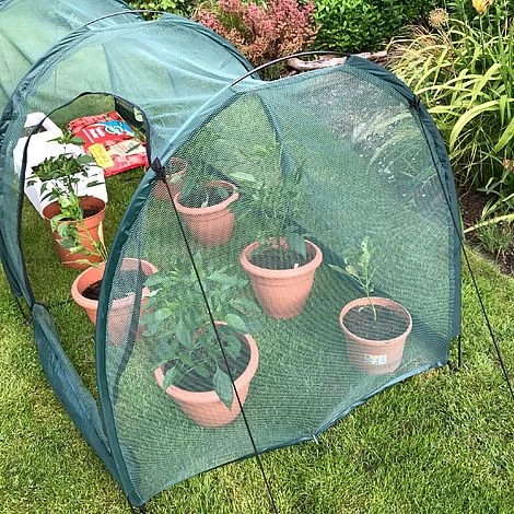 Pro Gro Professional Garden Grow Tunnel & Plant Protection Cover 6 Pro Gro Professional Garden Grow Tunnel & Plant Protection Cover - Image 4