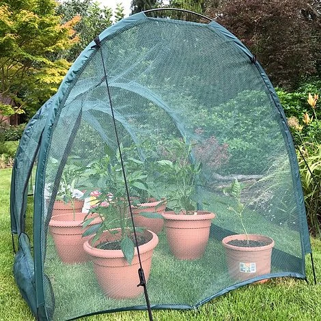 Pro Gro Professional Garden Grow Tunnel & Plant Protection Cover 5 Pro Gro Professional Garden Grow Tunnel & Plant Protection Cover - Image 3