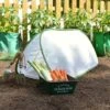 Pop Up Mini Insect Mesh Grow Tunnel & Veg Bed Cover -PlantHub Shop GPN20INSECT20NET20TRIANGLE20CLOCHE201000X1000201.1MB