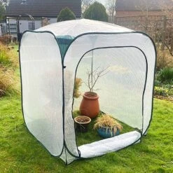 Pop-Up Poly Greenhouse Plant Cover – 1.25x1.25x1.35m H 12 Pop-Up Poly Greenhouse Plant Cover – 1.25x1.25x1.35m H -PlantHub Shop GPP125 04201000x100020833kb