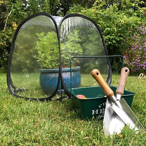 MiniPol Pop-Up Mini Greenhouse Plant Cover - 50x50x50cm 4 MiniPol Pop-Up Mini Greenhouse Plant Cover - 50x50x50cm - Image 2