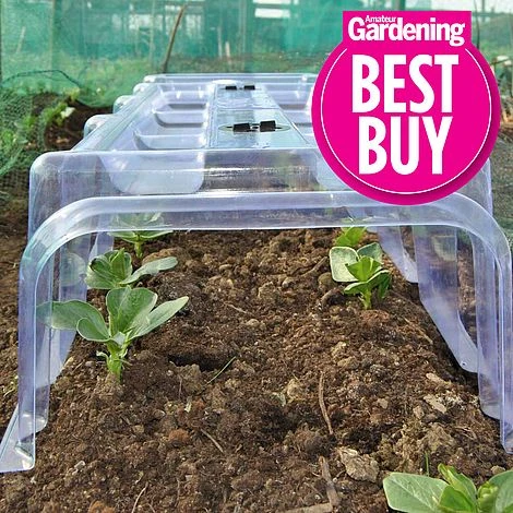 Mini Greenhouse Cloche 6 Mini Greenhouse Cloche - Image 4