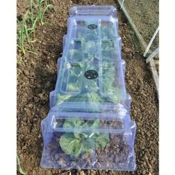 Mini Greenhouse Cloche 14 Mini Greenhouse Cloche -PlantHub Shop GREE AWW2605 B h