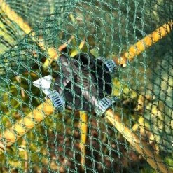 Bamboo Cane & Plant Stick Connector Balls - Pk 8 -PlantHub Shop GSK2025PIC2