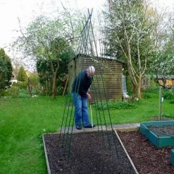 Easy Grow Runner Bean Frame & Climbing Plant Support Trellis - 0.75 X 1.2 X 2.4m H -PlantHub Shop GSK2156PIC3