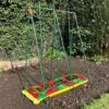 Tomato Cage Support Frame For Grow Bags -PlantHub Shop GSK221920 201000x100020967kb