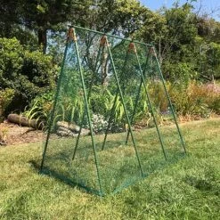 Pea Master Heavy Duty Pea & Climbing Plant Support Frame - 0.75 X 1.2 X 1.2m H 12 Pea Master Heavy Duty Pea & Climbing Plant Support Frame - 0.75 X 1.2 X 1.2m H -PlantHub Shop GSK2259HDPIC5