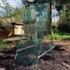 Cucumber Trellis & Pea Support Frame For Heavy Climbing Plants 1 Cucumber Trellis & Pea Support Frame For Heavy Climbing Plants -PlantHub Shop GSK2284HD201000x1000201MB