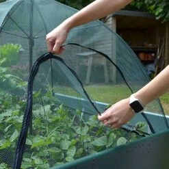 Pop N Crop Plant Umbrella Protection Cover For Raised Beds & Veg Patches 7 Pop N Crop Plant Umbrella Protection Cover For Raised Beds & Veg Patches -PlantHub Shop GSK2350201000X100020781KB