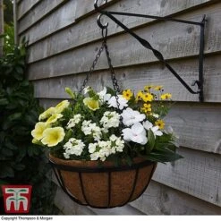 Garden Grow Hanging Basket & Liner 10 Garden Grow Hanging Basket & Liner -PlantHub Shop HANG T82054 C