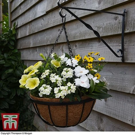 Garden Grow Hanging Basket & Liner 5 Garden Grow Hanging Basket & Liner - Image 3