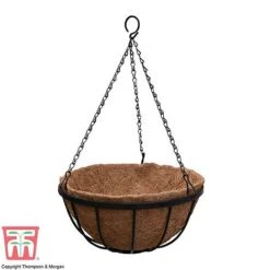 Garden Grow Hanging Basket & Liner 12 Garden Grow Hanging Basket & Liner -PlantHub Shop HANG T82054 E