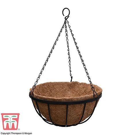 Garden Grow Hanging Basket & Liner 7 Garden Grow Hanging Basket & Liner - Image 5