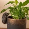 Antique Bronze Coloured Hedgehog Pot Buddy - Pot Hanger 2 Antique Bronze Coloured Hedgehog Pot Buddy - Pot Hanger -PlantHub Shop HEGDEHOG20 20INDOOR20POT20320 20PB0005