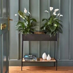 Indoor Kensington Metal Planter Stand In Black H76Cm W70Cm -PlantHub Shop IKMPSB76 1