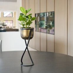 Indoor Kensington Tall Brass Metal Round Planter On Stand H42Cm W20Cm -PlantHub Shop IKTBMRPS42 1