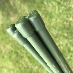Plant & Tomato Support Stakes - 1.8m / 71" Long -PlantHub Shop IMG 7110