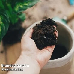 Incredicompost Peat Free Houseplant -PlantHub Shop INCR COMPHOUSE L29533