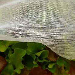 Insect Mesh Carrot & Plant Protection Netting - 1.5m Wide - Various Sizes 6 Insect Mesh Carrot & Plant Protection Netting - 1.5m Wide - Various Sizes -PlantHub Shop Insect20Netting20947x94720847kb