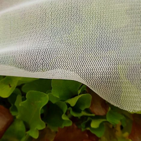 Insect Mesh Carrot & Plant Protection Netting - 1.5m Wide - Various Sizes 4 Insect Mesh Carrot & Plant Protection Netting - 1.5m Wide - Various Sizes - Image 2