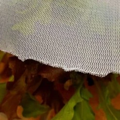 Insect Mesh Carrot & Plant Protection Netting - 1.5m Wide - Various Sizes 7 Insect Mesh Carrot & Plant Protection Netting - 1.5m Wide - Various Sizes -PlantHub Shop Insect20Netting20966x96620957kb