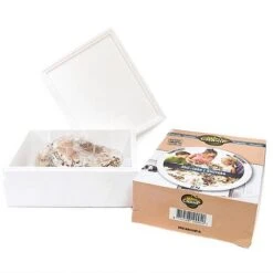 Mushroom Windowsill Kit - Shiitake -PlantHub Shop KITS MUSHROOM T28359