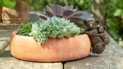 Antique Bronze Coloured Koala Pot Buddy - Pot Hanger -PlantHub Shop KOALA2020CUB20 20SUCCULENT20 20CROPPED20 20PB0014