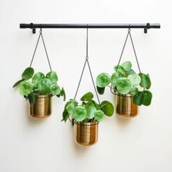 Linear Hanging Planters 81CM Black And Gold -PlantHub Shop LHPB81 1