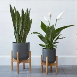 Lisbon Pot And Stand Charcoal D20.5Cm -PlantHub Shop LPCST20 1 copy