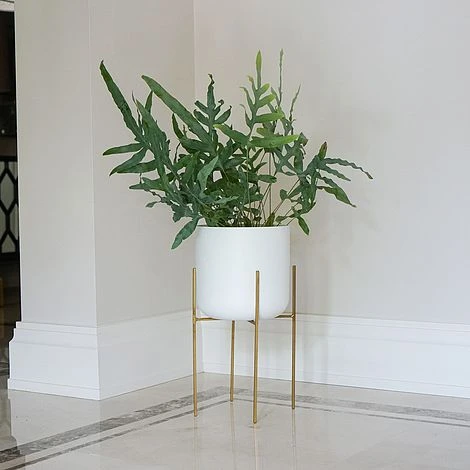 Luso Plant Stand In Gold H38Cm D27Cm 4 Luso Plant Stand In Gold H38Cm D27Cm - Image 2