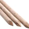 Tree Stakes 1.2m X 50mm Machine Rounded X 5 -PlantHub Shop MCRS125