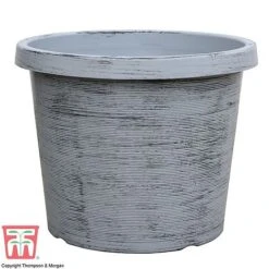Modern Grey Patio Pot -PlantHub Shop MODE KA6953 B