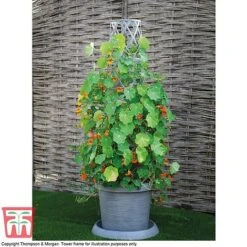 Modern Grey Patio Pot -PlantHub Shop MODE KA6953 C2