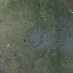 Block Blitz Eco Cleaner Multi Pave -PlantHub Shop MP before